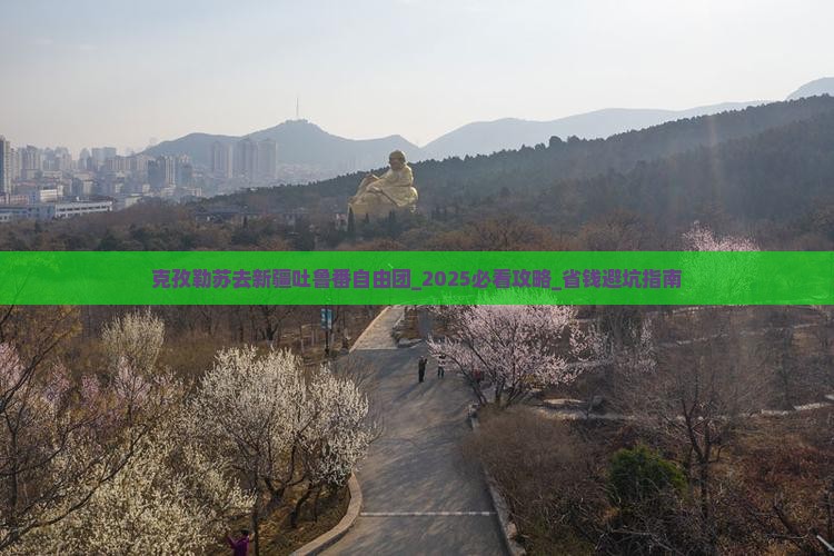 克孜勒苏去新疆吐鲁番自由团