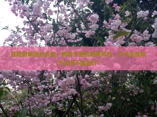 益阳到新疆必去地