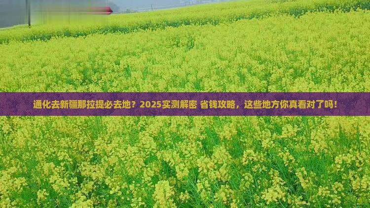 通化去新疆那拉提必去地