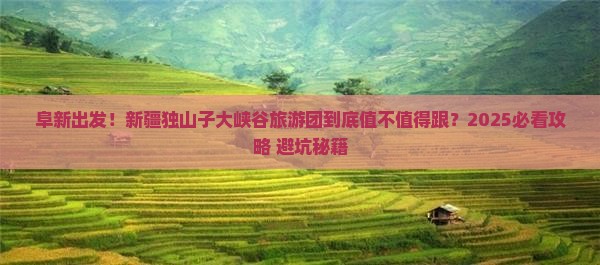 阜新去新疆独山子大峡谷大型旅游团