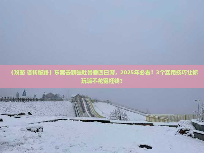 东莞去新疆吐鲁番四日游