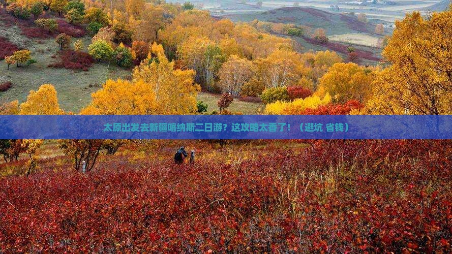 太原去新疆喀纳斯二日游