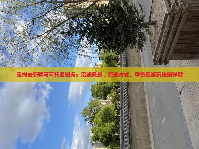 玉树去新疆可可托海景点
