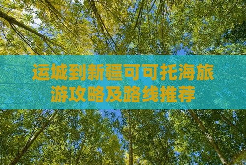 运城到新疆可可托海景点
