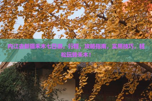 内江去新疆禾木七日游