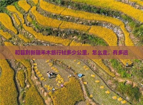 和县到新疆禾木旅行社
