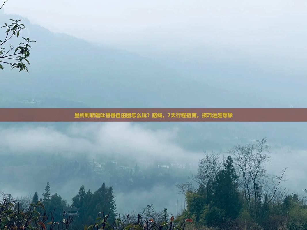 垦利到新疆吐鲁番自由团