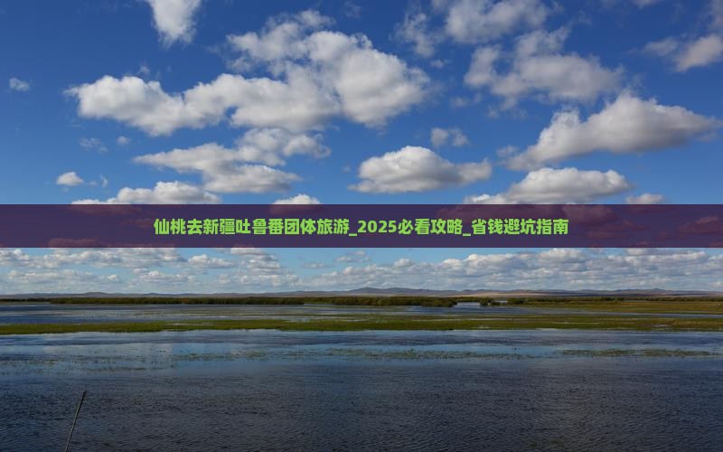 仙桃去新疆吐鲁番团体旅游