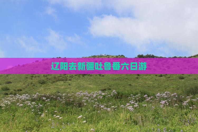 辽阳去新疆吐鲁番六日游
