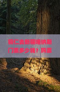 铜仁去新疆喀纳斯门票