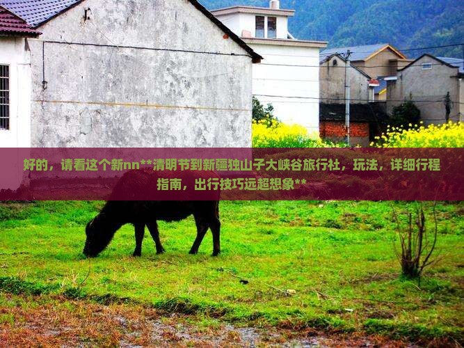 清明节到新疆独山子大峡谷旅行社