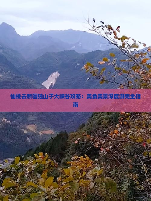 仙桃去新疆独山子大峡谷攻略：美食美景深度游完全指南