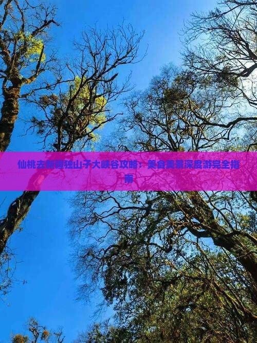 仙桃去新疆独山子大峡谷攻略：美食美景深度游完全指南