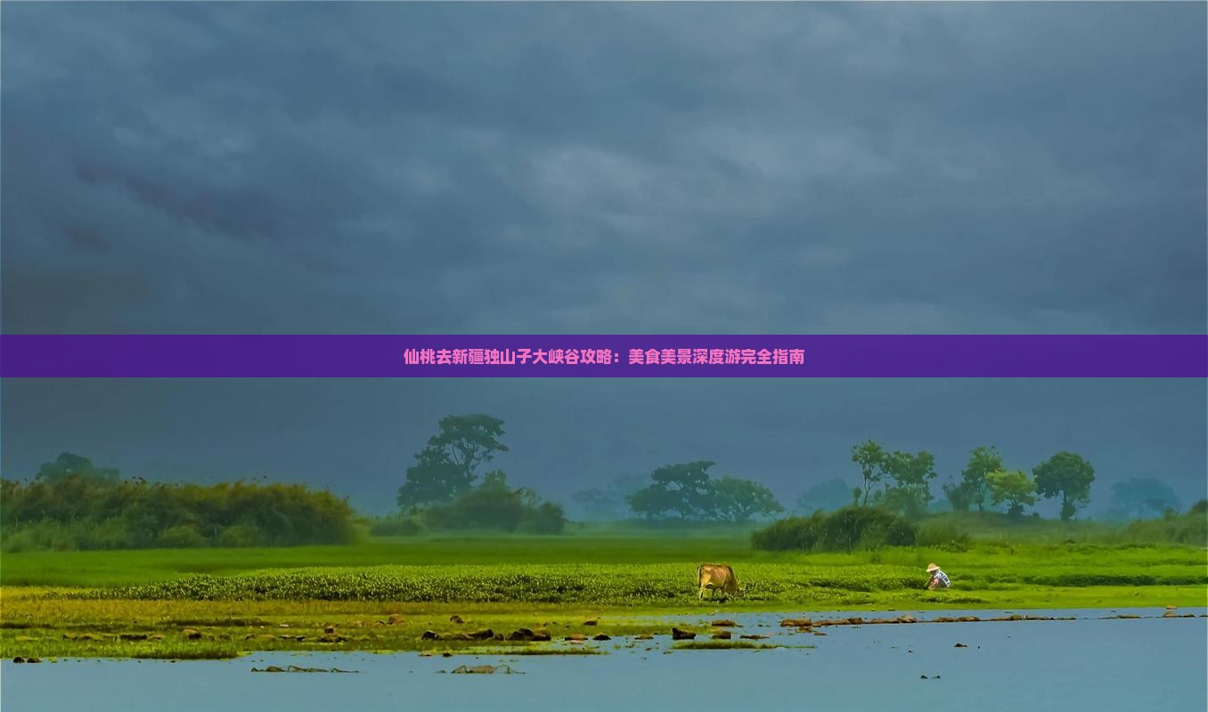 仙桃去新疆独山子大峡谷攻略：美食美景深度游完全指南