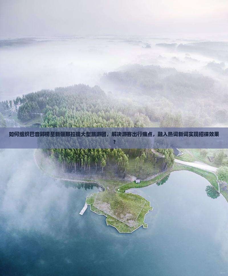 如何组织巴音郭楞至新疆那拉提大型旅游团，解决游客出行痛点，融入热词新词实现招徕效果？
