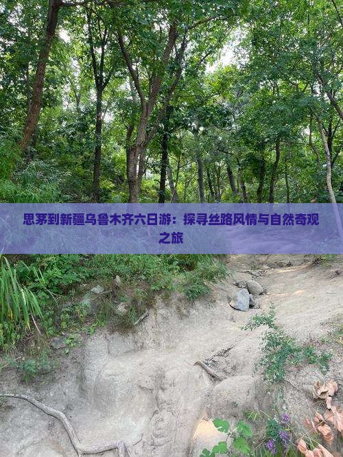思茅到新疆乌鲁木齐六日游：探寻丝路风情与自然奇观之旅