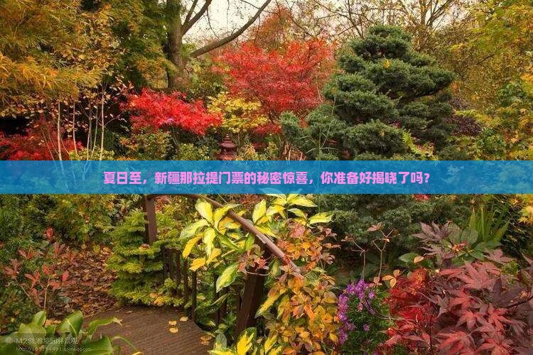 夏日至，新疆那拉提门票的秘密惊喜，你准备好揭晓了吗？
