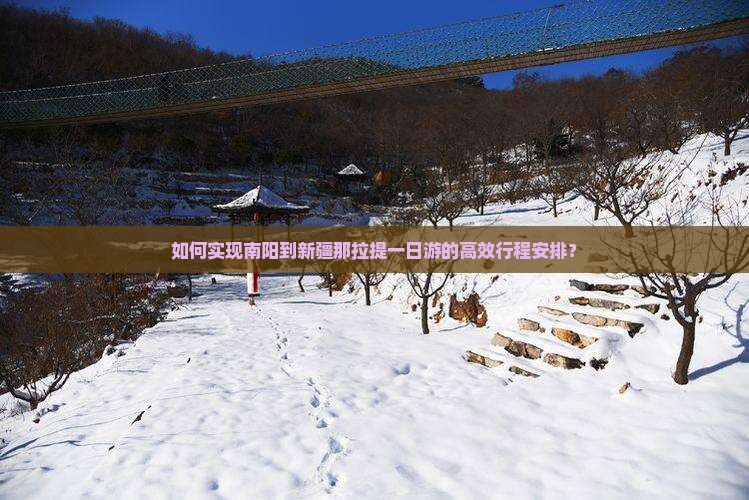 如何实现南阳到新疆那拉提一日游的高效行程安排？