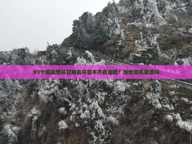 #3个朋友想从甘南去乌鲁木齐自由团？当地司机靠谱吗