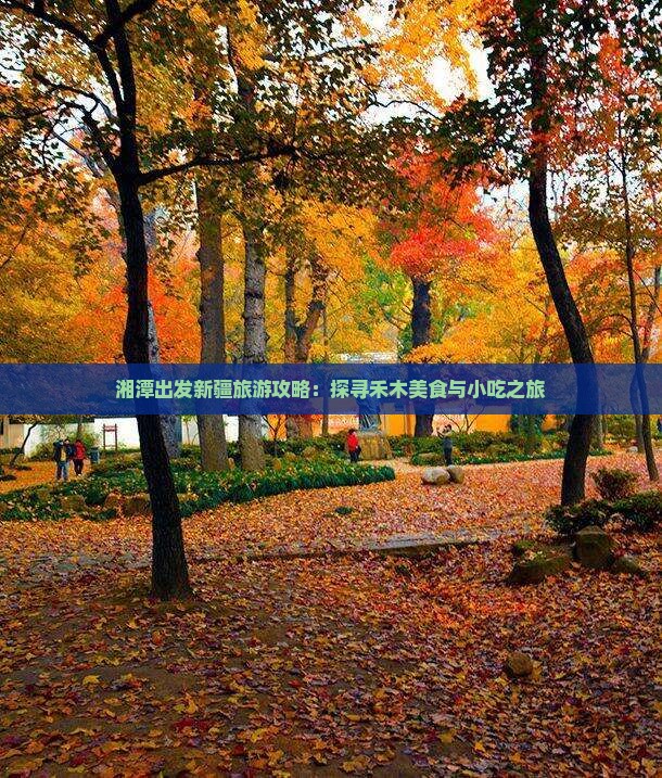 湘潭出发新疆旅游攻略：探寻禾木美食与小吃之旅