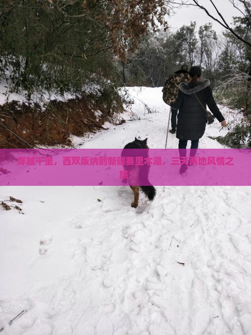 穿越千里，西双版纳到新疆赛里木湖，三天两地风情之旅！