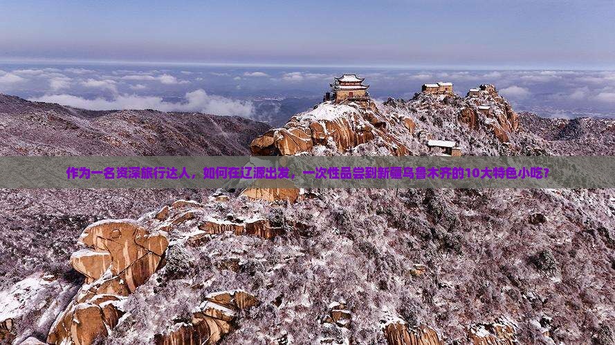 作为一名资深旅行达人，如何在辽源出发，一次性品尝到新疆乌鲁木齐的10大特色小吃？