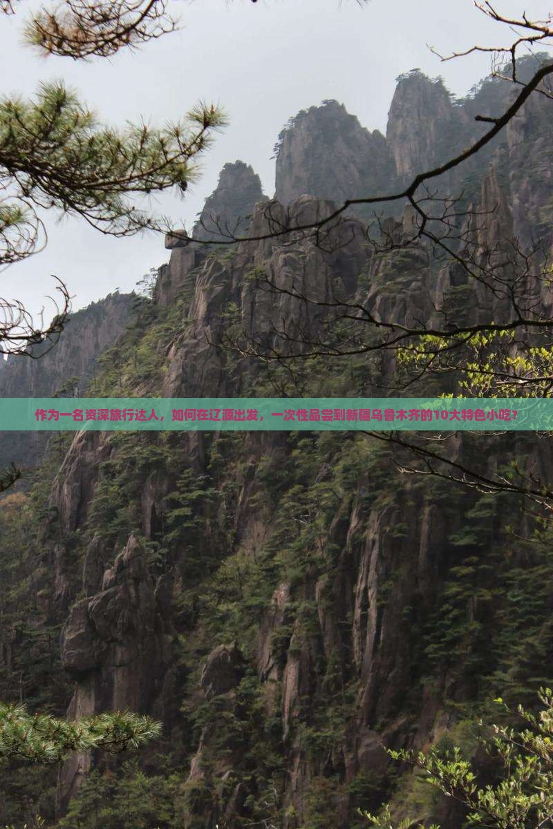 作为一名资深旅行达人，如何在辽源出发，一次性品尝到新疆乌鲁木齐的10大特色小吃？
