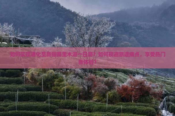 如何实现通化至新疆赛里木湖一日游？如何规避旅途痛点，享受热门新体验？