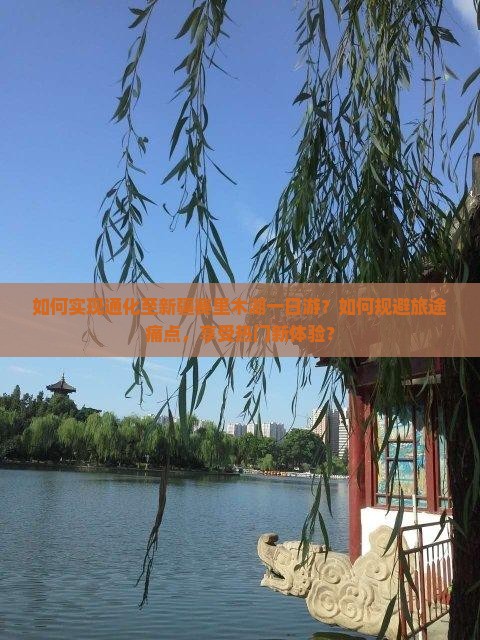 如何实现通化至新疆赛里木湖一日游？如何规避旅途痛点，享受热门新体验？