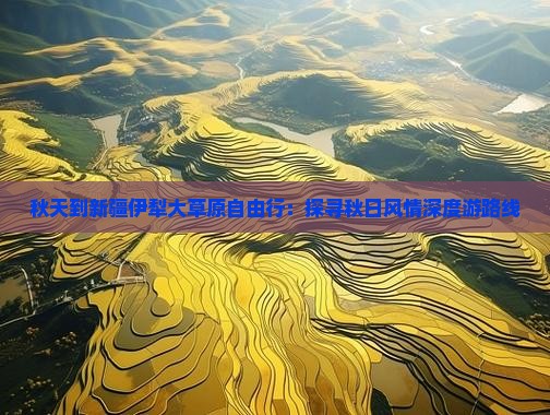 秋天到新疆伊犁大草原自由行：探寻秋日风情深度游路线