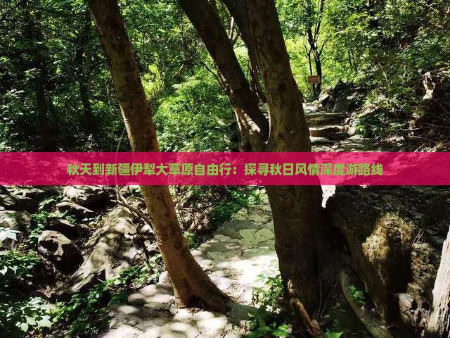 秋天到新疆伊犁大草原自由行：探寻秋日风情深度游路线