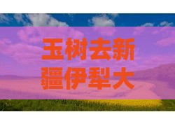 玉树去新疆伊犁大草原景点详细路线指南