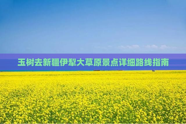 玉树去新疆伊犁大草原景点详细路线指南