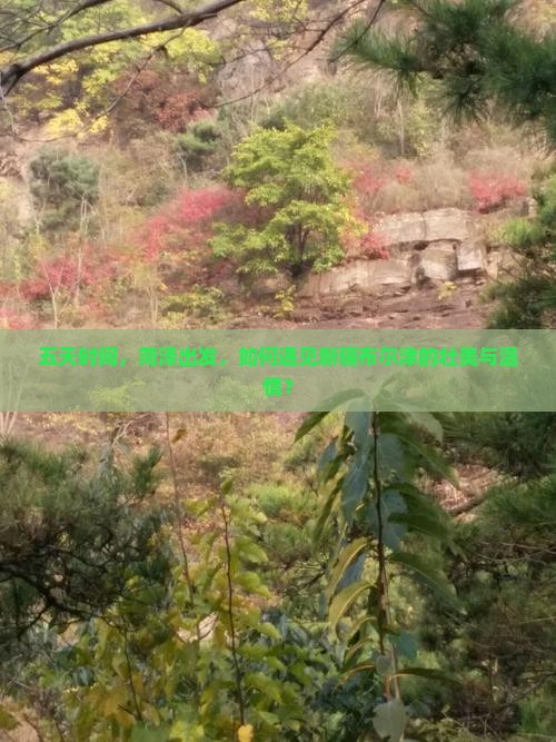 五天时间，菏泽出发，如何遇见新疆布尔津的壮美与温情？