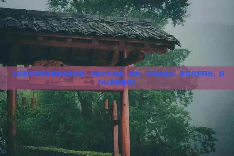 《新疆可可托海冬季旅游攻略：乌鲁木齐出发，禾木、可可自由行，看尽北疆风光，旅行社倾情推荐》