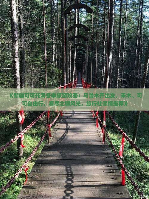 《新疆可可托海冬季旅游攻略：乌鲁木齐出发，禾木、可可自由行，看尽北疆风光，旅行社倾情推荐》