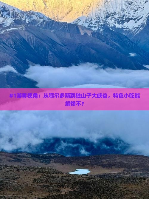 #1游客视角：从鄂尔多斯到独山子大峡谷，特色小吃能解馋不？