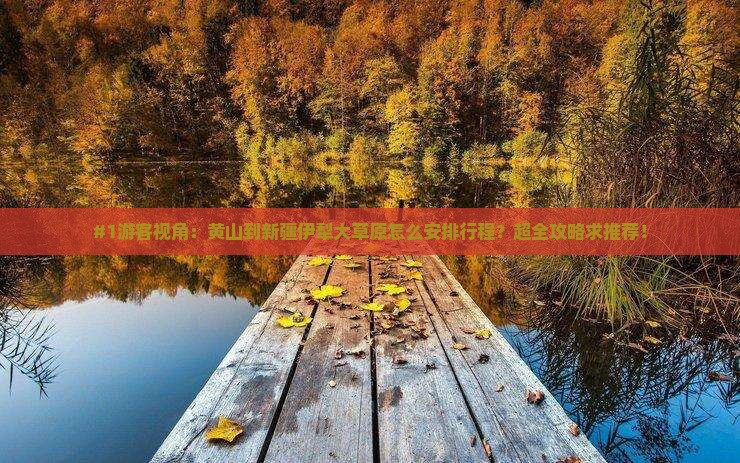 #1游客视角：黄山到新疆伊犁大草原怎么安排行程？超全攻略求推荐！