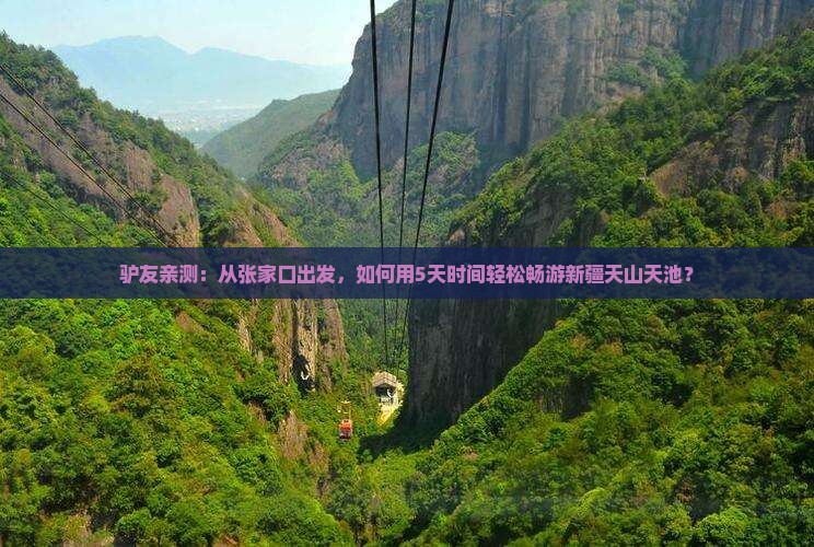 驴友亲测：从张家口出发，如何用5天时间轻松畅游新疆天山天池？