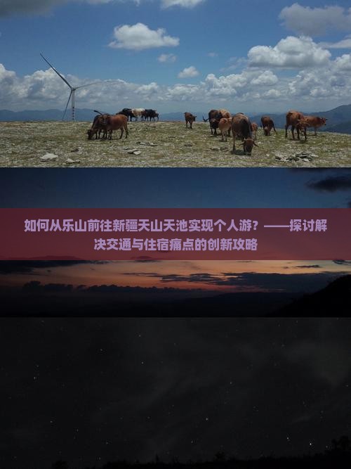 如何从乐山前往新疆天山天池实现个人游？——探讨解决交通与住宿痛点的创新攻略