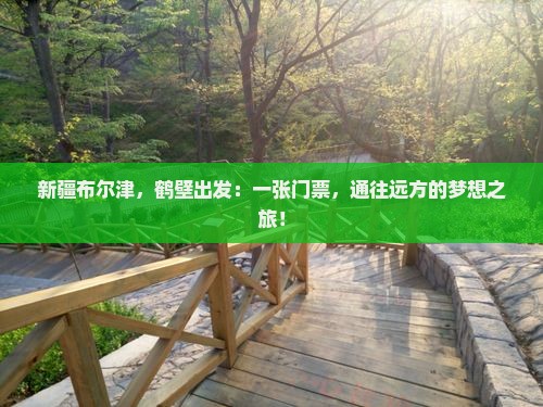 新疆布尔津，鹤壁出发：一张门票，通往远方的梦想之旅！