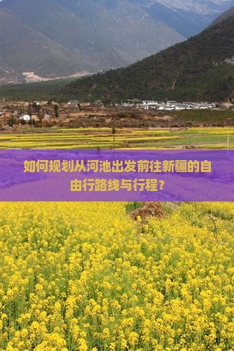 如何规划从河池出发前往新疆的自由行路线与行程？