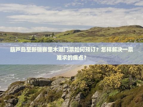 葫芦岛至新疆赛里木湖门票如何预订？怎样解决一票难求的痛点？