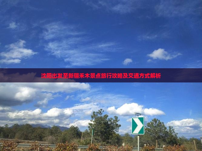 沈阳出发至新疆禾木景点旅行攻略及交通方式解析