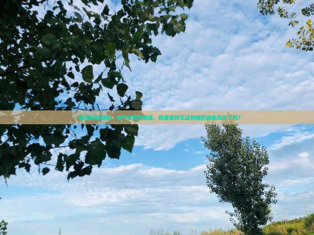 一起探秘喀纳斯，毕节出发的旅程，你准备好见证新疆的绝美风光了吗？