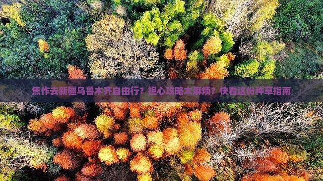 焦作去新疆乌鲁木齐自由行？担心攻略太麻烦？快看这份种草指南