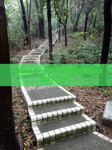 #1游客必看！眉山到新疆赛里木湖路线玩法大求解??