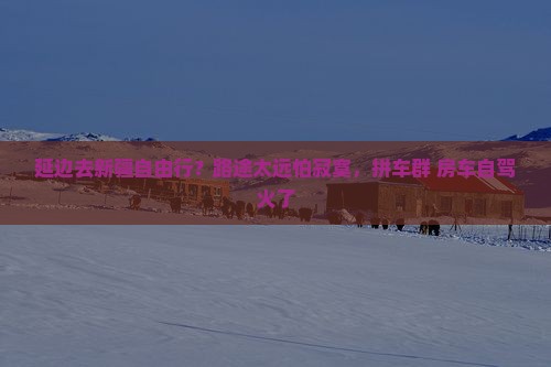 延边去新疆自由行？路途太远怕寂寞，拼车群+房车自驾火了