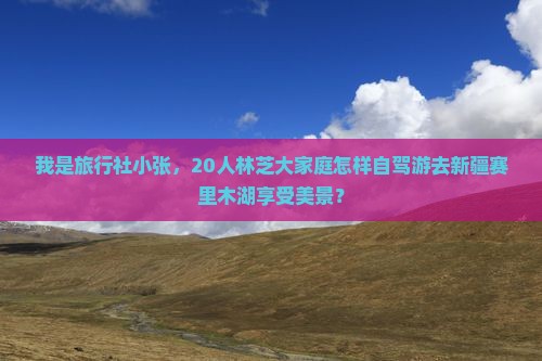 我是旅行社小张，20人林芝大家庭怎样自驾游去新疆赛里木湖享受美景？