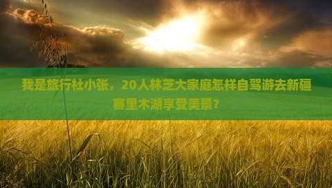 我是旅行社小张，20人林芝大家庭怎样自驾游去新疆赛里木湖享受美景？